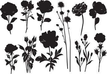 Set Flowers. Hand drawn vector illustration