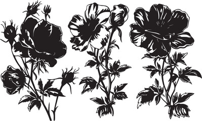 Set Flowers. Hand drawn vector illustration