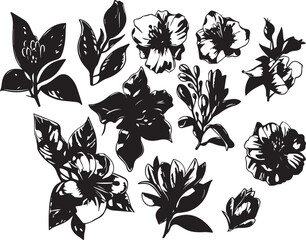 Set Flowers. Hand drawn vector illustration