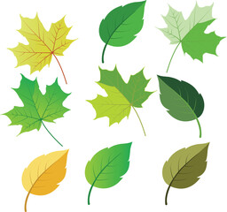 Modern spring green leaves background design