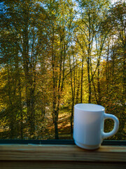 White cup of coffee standing on wooden window frame with beautiful view to colorful park at autumn