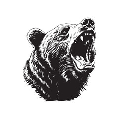 Black and white hand drawing bear head. Illustration vector.