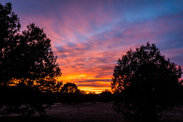 A brilliant Arizona sunset with tress in silhouette in the foreground.