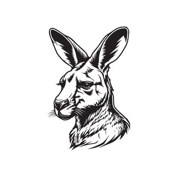 Vector sketch of kangaroo head - Hand drawn illustration isolated on white background