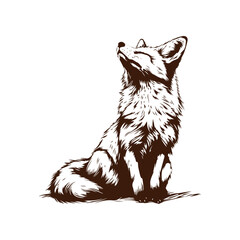 Hand drawn illustration of fox - fox sketch