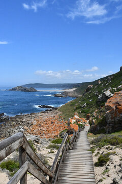 Beautiful sea and nature at Robberg Nature Reserve | Plettenberg Bay | Garden Route | South Africa