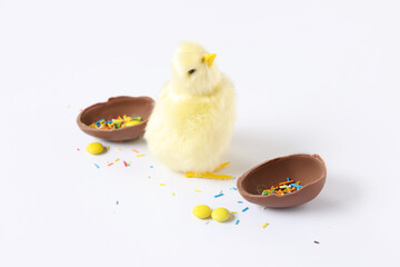 Sweet chocolate Easter egg with candies and chick on white background