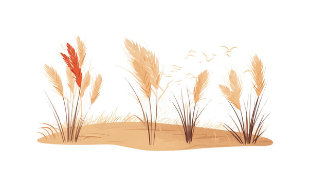 savanna dry grass set vector flat minimalistic isolated illustration