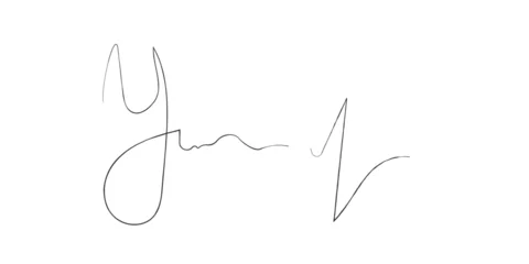 Fotobehang Fake autograph samples. Isolated Vector Handwritten signature © Olga Izvekova