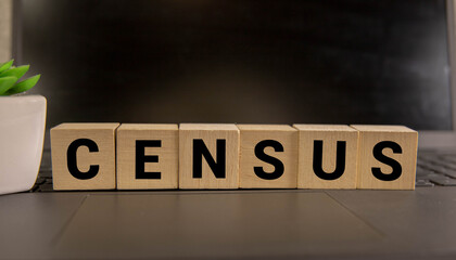 CENSUS - word on wooden cubes on pink background with wooden round balls.