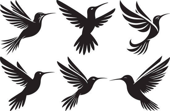Humming bird silhouette vector illustration © CreativeDesigns