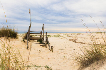 Fototapeta na wymiar Beautiful wild beach of Cacela Velha, Algarve - Portugal. Wild beach on a winter day