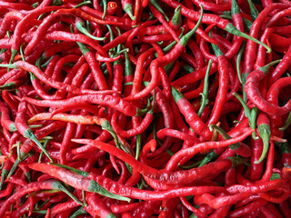 Fresh red chilies at the local traditional market.  concept for spicy cuisine, manufacturer of hot sauces and seasonings.