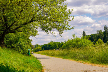 Municipal park in Warsaw , greenery and vegetation