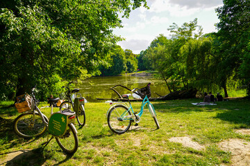 Municipal park in Warsaw , greenery and vegetation
