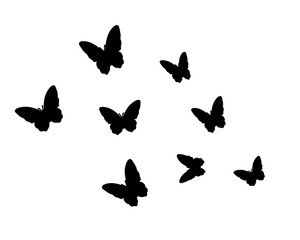 set of butterflies