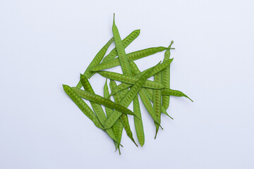 Leucaena leucocephala on white background, traditional herbal medicine Leucaena leucocephala, pearl wattle