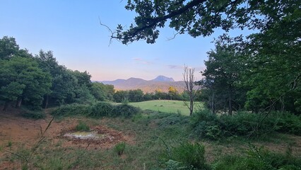Le pech de Bugarach vu depuis les bois au-dessus de Rennes-les-Bains