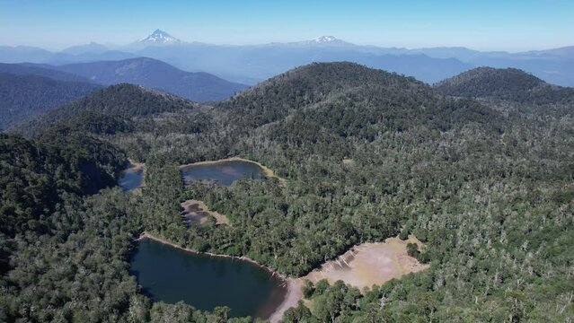Santuario El Ca&ntilde;i, Araucan&iacute;a. Chile 
