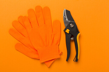 Secateurs with gloves on color background, top, view