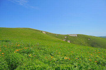 礼文島岬めぐり