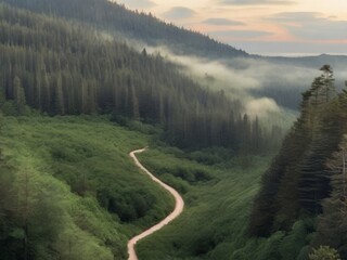 image for landing page of forest