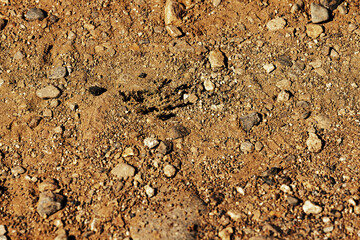 Top view full frame of textured rough orange rocky surface