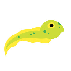 tadpole vector icon