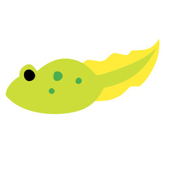 tadpole vector icon
