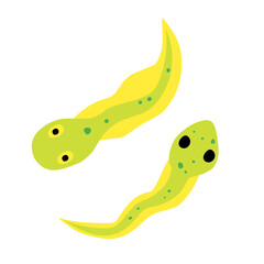 tadpole vector icon