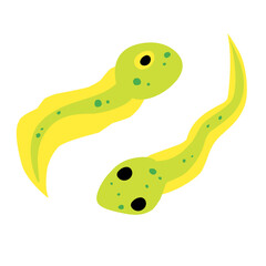 tadpole vector icon