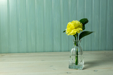 Single yellow carnation with greenery in a small delicate vase.