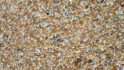 Cabo Polonio Beach of shells