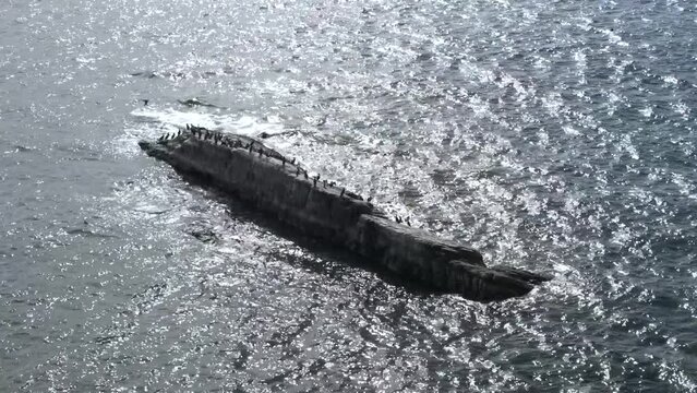 【南知多】キラキラ光る海面の岩場に群がる水鳥