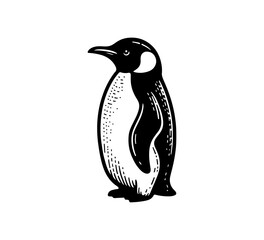 Emperor Penguin Hand drawn vector illustration graphic assets