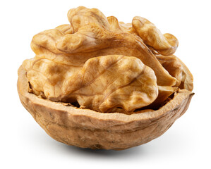 Walnut half isolated. Walnut half with nut peel on white background. Walnut kernel. With clipping...