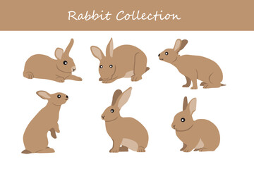 Rabbit vector set. Cute cartoon hare. Vector illustration