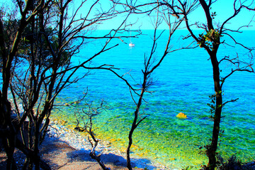 Fresh view in Portonovo with different outlines of tall trees in the foreground, opening to a...