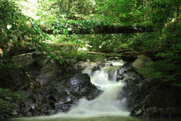 Fototapeta na wymiar Waterscape in Central Borneo Tropical Forest