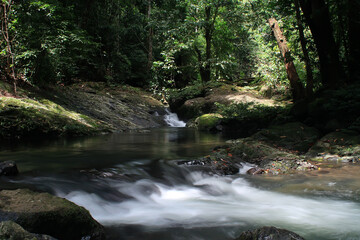 Waterscape in Central Borneo Tropical Forest