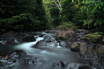 Waterscape in Central Borneo Tropical Forest