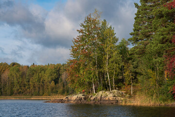 Naklejka premium Lake Ladoga near the village Lumivaara on a sunny autumn day, Ladoga skerries, Lakhdenpokhya, Republic of Karelia, Russia