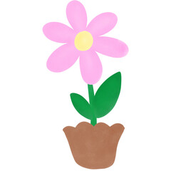 flower in a pot