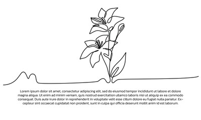 One line rose flower poster drawing with a beautiful frame. Abstract minimal continuous line wall decor.