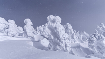 冬の八甲田山の樹氷