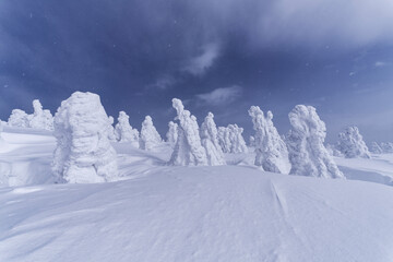 冬の八甲田山の樹氷