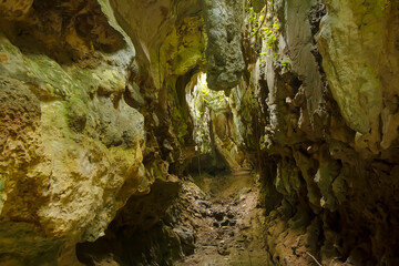 Rock Cave in Central Borneo Tropical Forest