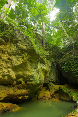 Rock Cave in Central Borneo Tropical Forest