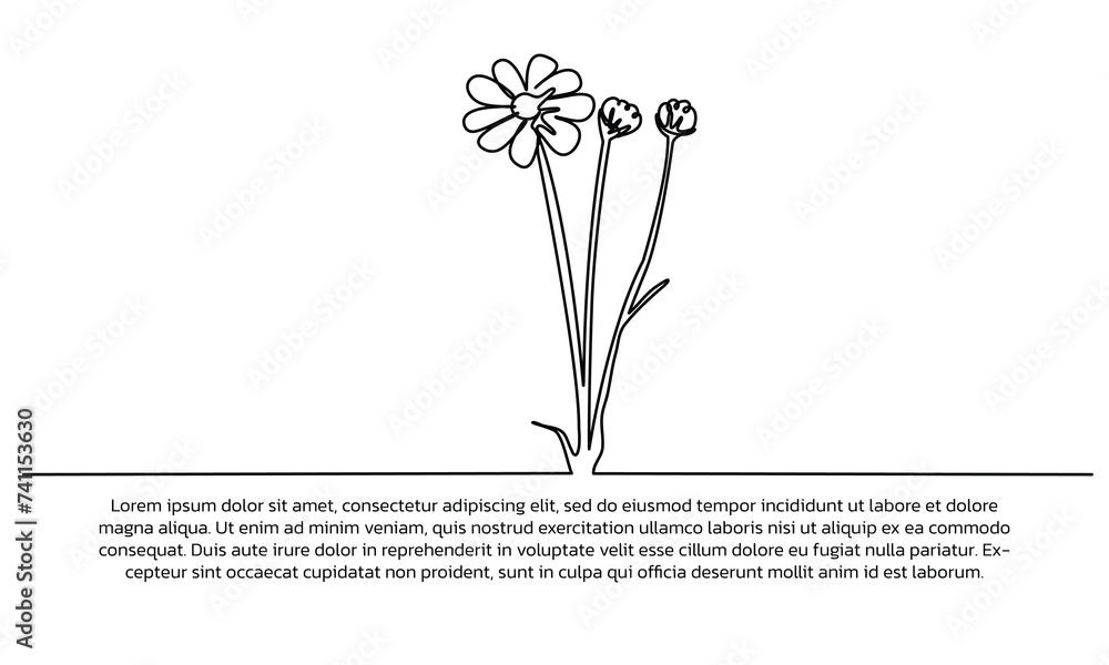Poster one line botanical flower poster drawing with a beautiful frame. abstract minimal continuous line wa