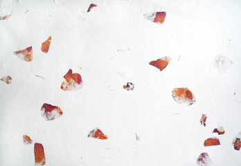 Handmade paper with pressed rose petals and leaves.Textured paper with natural fiber layers.    